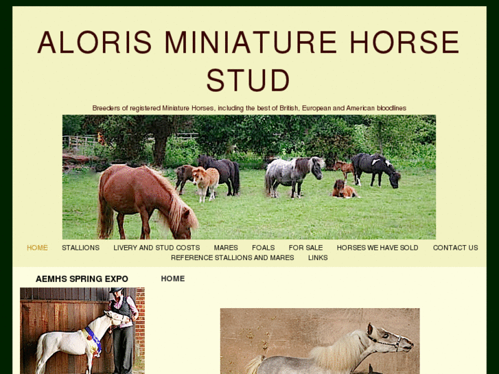 www.alorisminiaturehorses.com