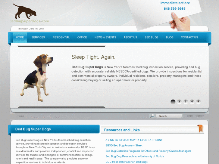 www.bedbugsuperbeagle.com