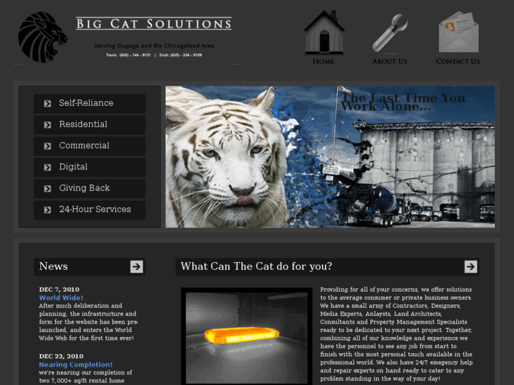 www.bigcatonline.com