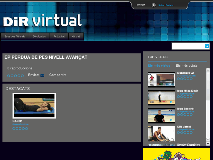 www.dirvirtual.com