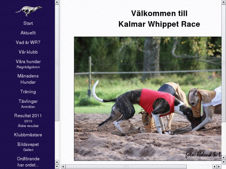 www.kalmarwhippetrace.se