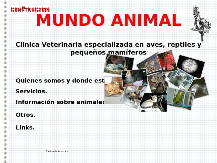 www.mundoanimalveterinaria.es