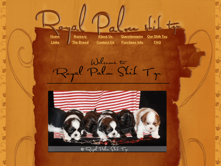 www.royalpalmshihtzu.com