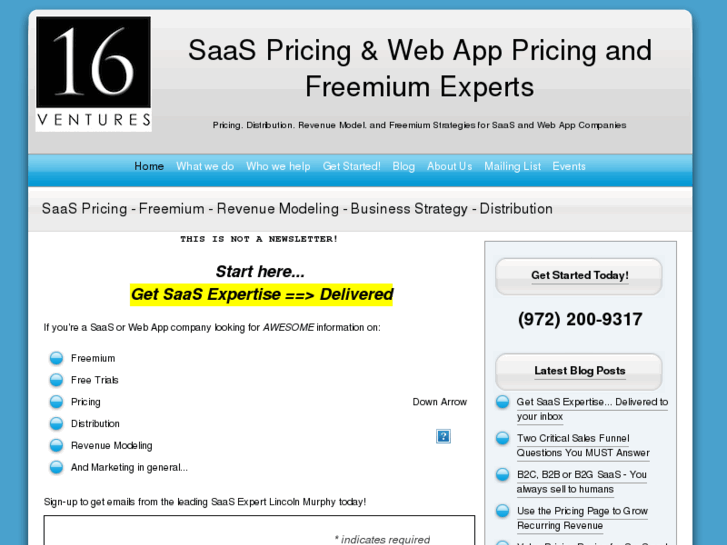 www.saas-pricing-model.com