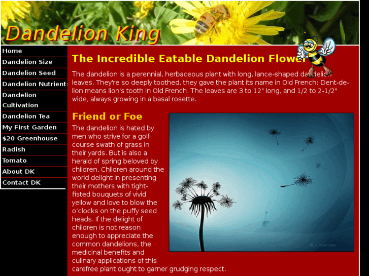 www.dandelionking.net