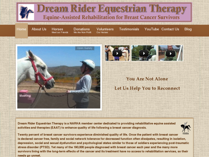 www.dream-rider.org