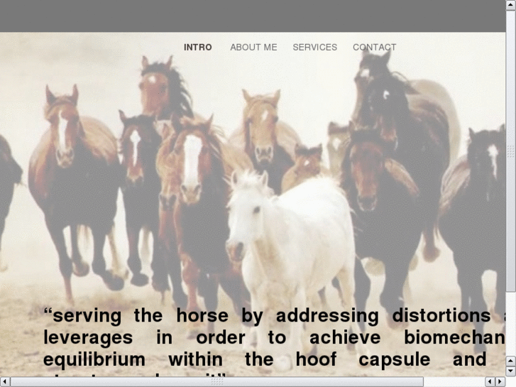 www.equinehoofcarian.com