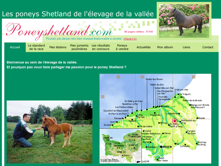 www.poneyshetland.com