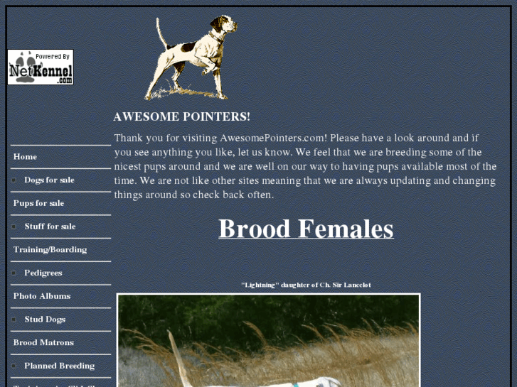 www.awesomepointers.com