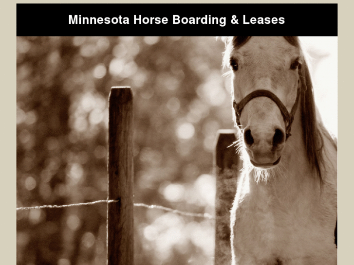 www.mnhorseboarding.com