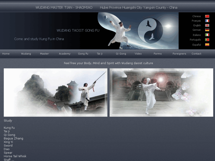 www.wudang-master.com