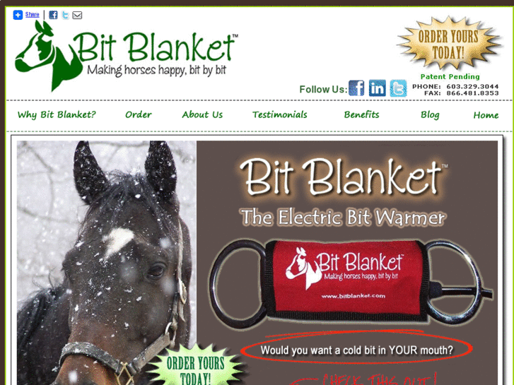 www.bitblanket.com