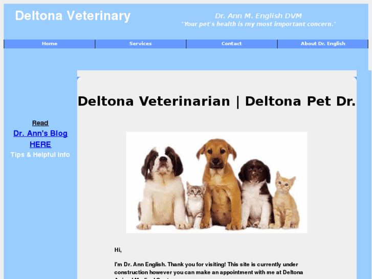 www.deltonaveterinarian.com