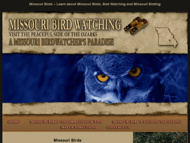 www.missouribirdwatching.com