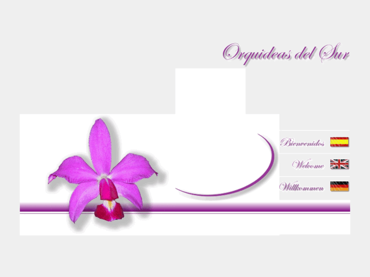 www.orquideasdelsur.com