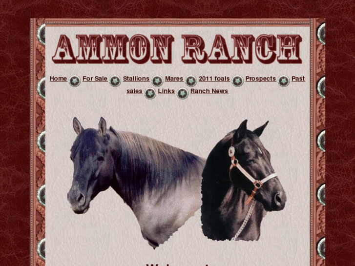 www.ammonranch.com