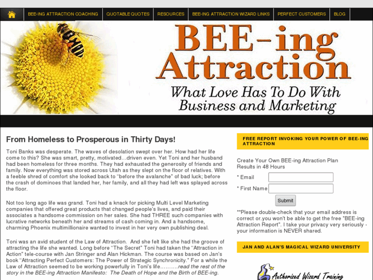 www.beeingattraction.com