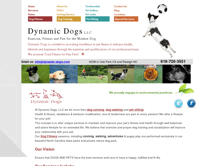 www.dynamic-dogs.com