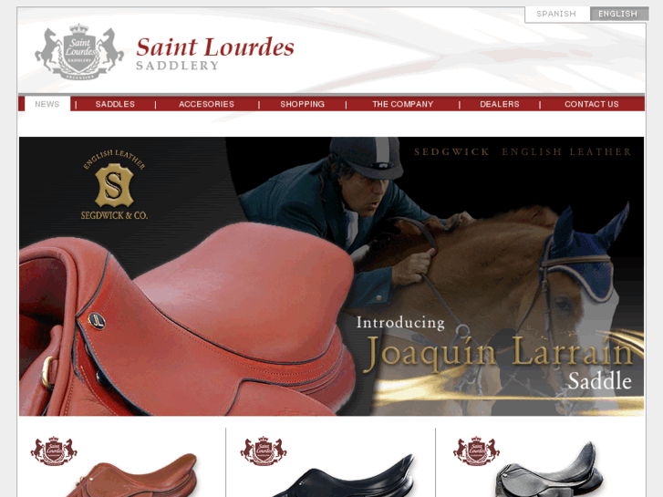 www.saintlourdes.com