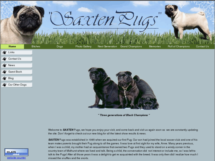 www.saxtenpugs.com