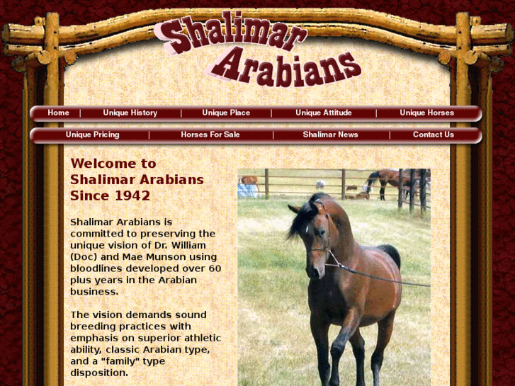 www.shalimararabians.com