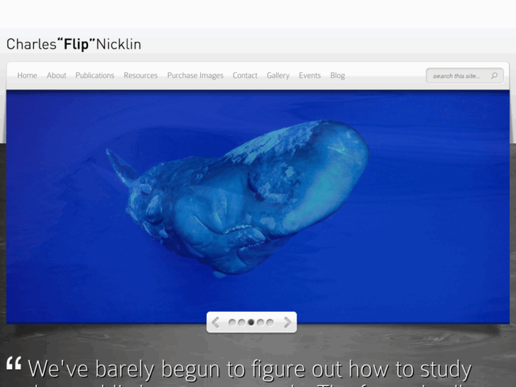 www.flipnicklin.com
