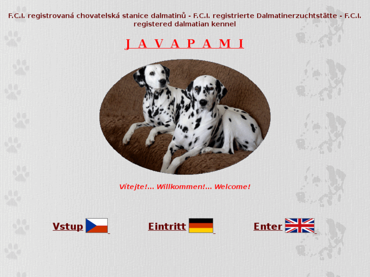 www.javapami.com