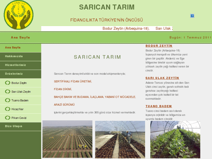 www.saricantarim.com