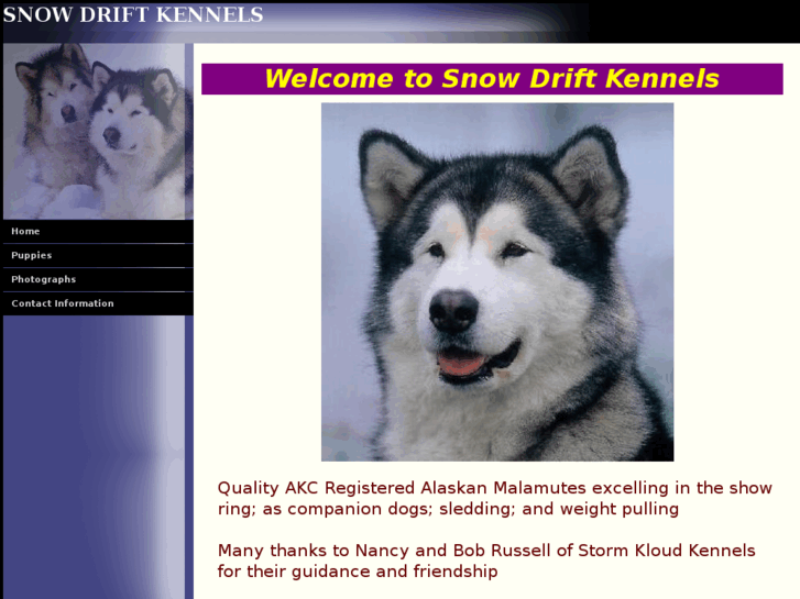 www.snowdriftkennels.com