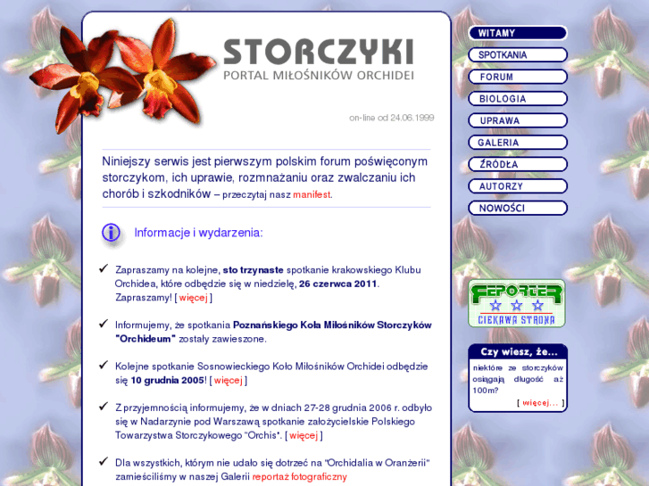 www.storczyki.org.pl