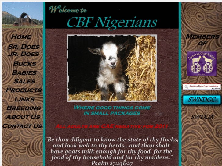 www.cbfnigeriangoats.com