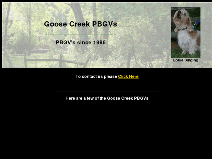 www.goosecreekpbgv.com