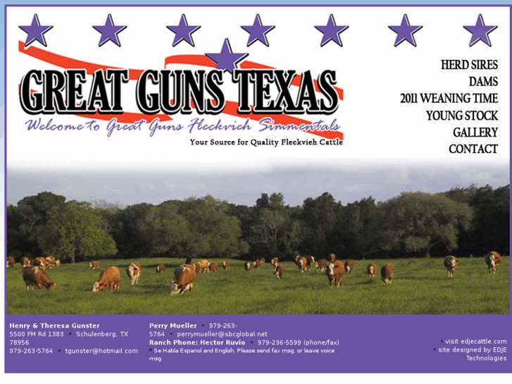 www.greatgunsfleckviehsimmentals.com