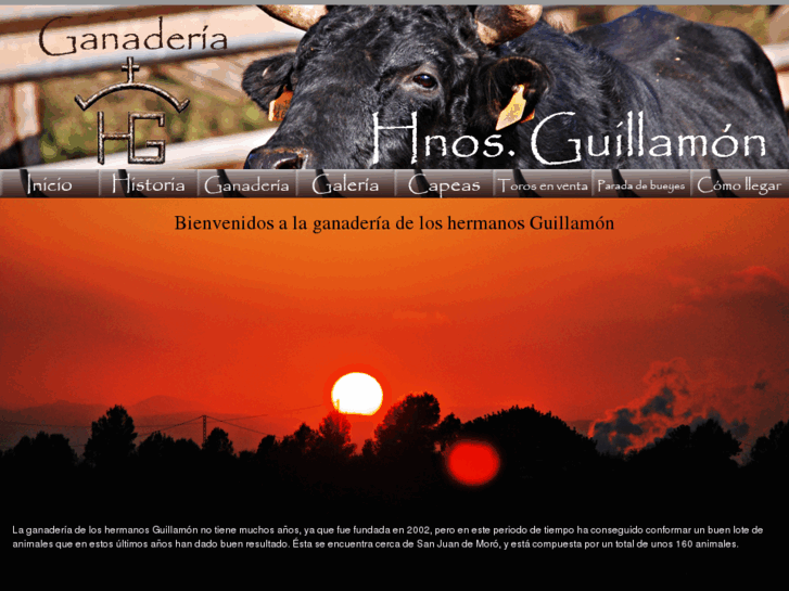 www.hnosguillamon.com