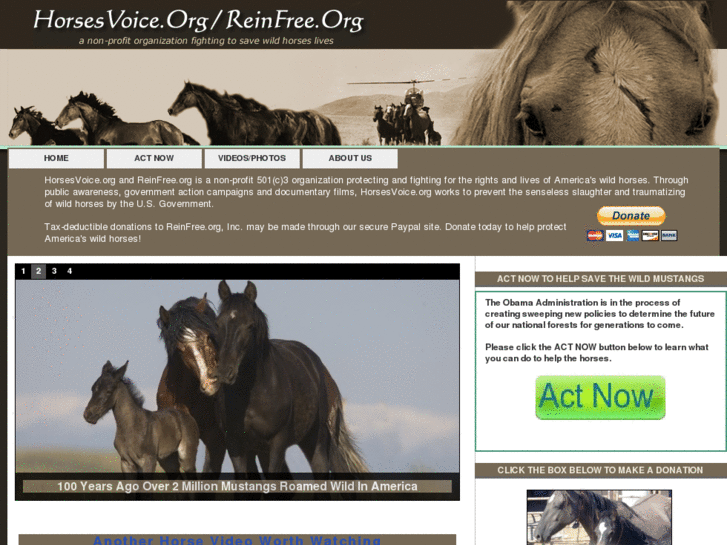 www.horsesvoice.org