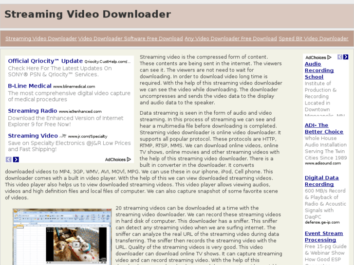 www.streamingvideodownloader.com