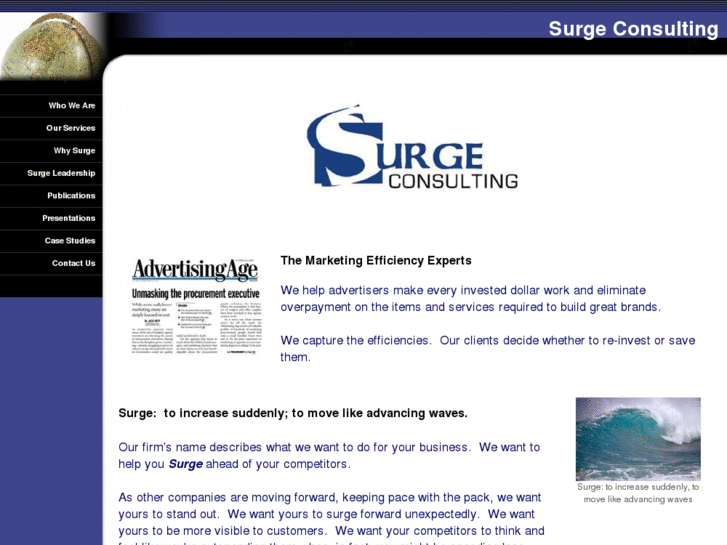 www.surgeconsulting.com