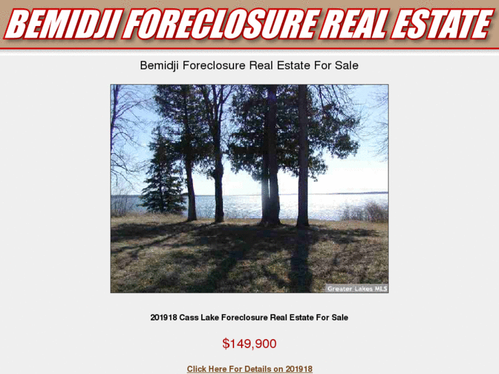 www.bemidjiforeclosurerealestate.com