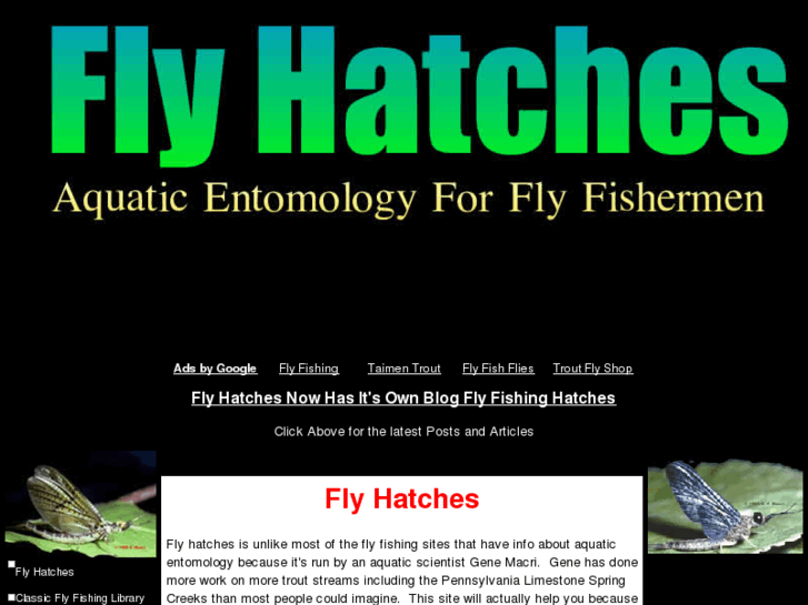 www.flyhatches.com