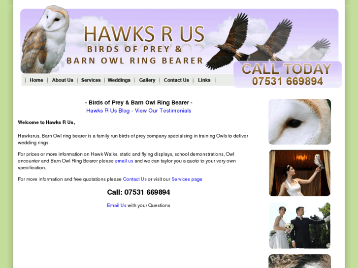 www.hawksrus.com