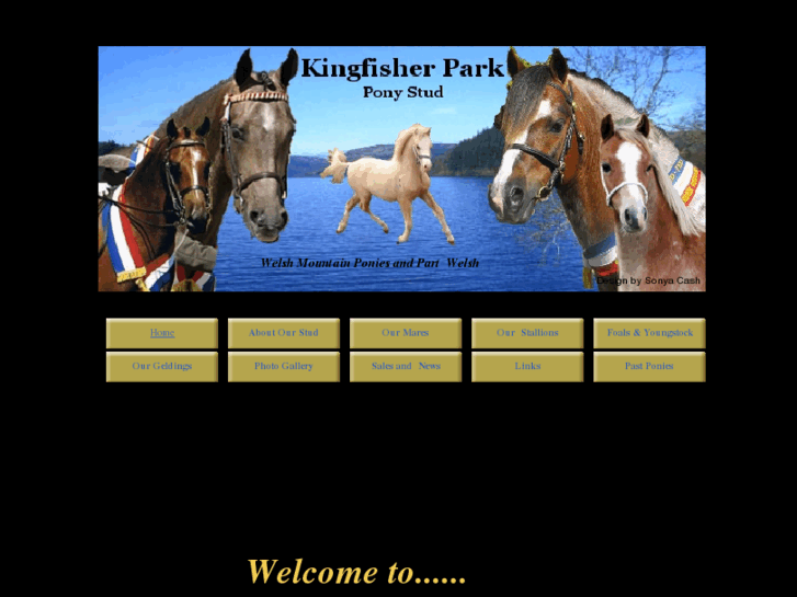 www.kingfisherparkponystud.com