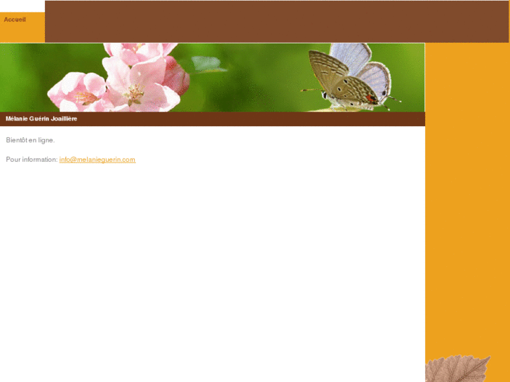 www.melanieguerin.com