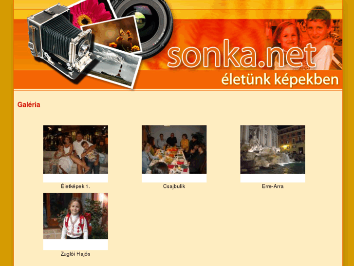 www.sonka.net