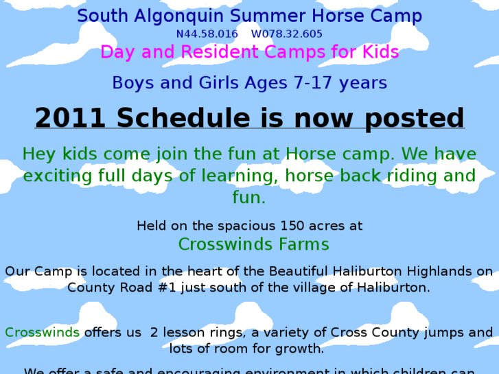 www.southalgonquincamp.com