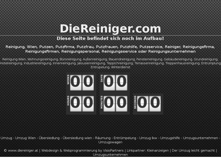 www.diereiniger.com