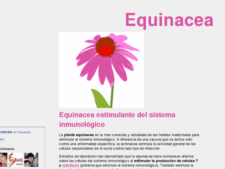 www.echinacea.es