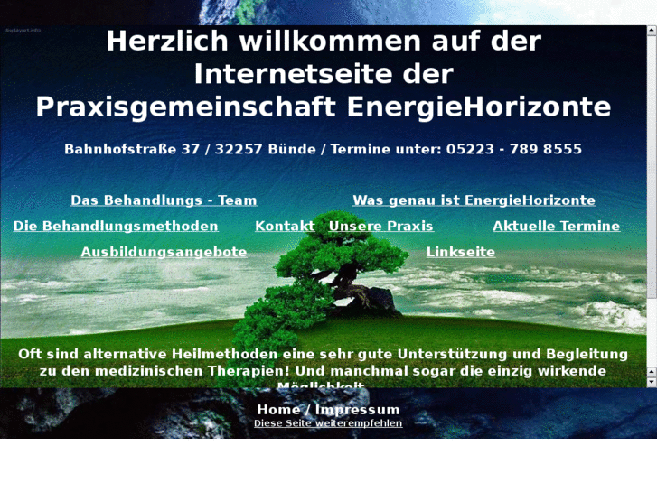 www.energiehorizonte.de