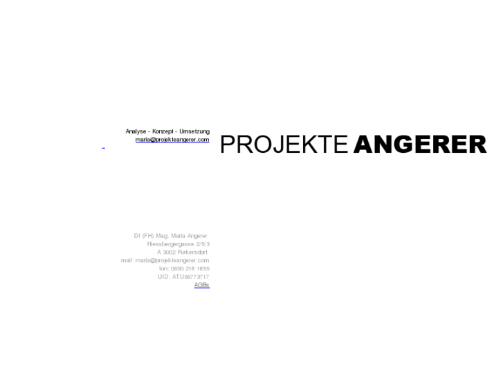 www.projekteangerer.com