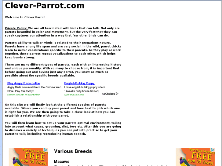 www.clever-parrot.com