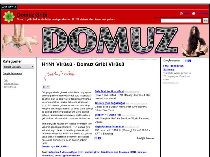 www.domuz.net